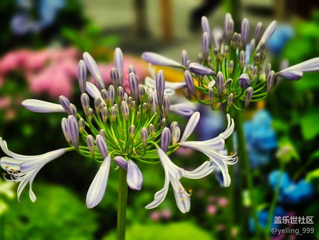 上海星部落5月31日豐盛里citywalk線下攝影活動回顧帖