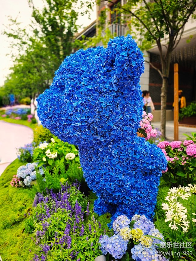 上海星部落5月31日豐盛里citywalk線下攝影活動回顧帖