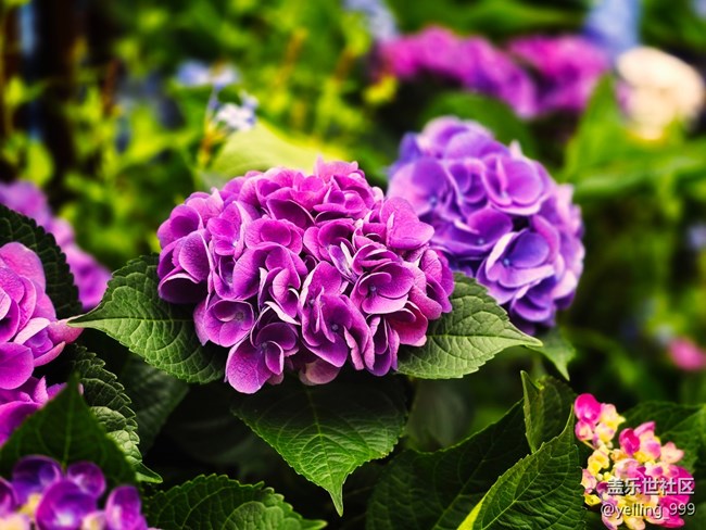 上海星部落5月31日豐盛里citywalk線下攝影活動回顧帖