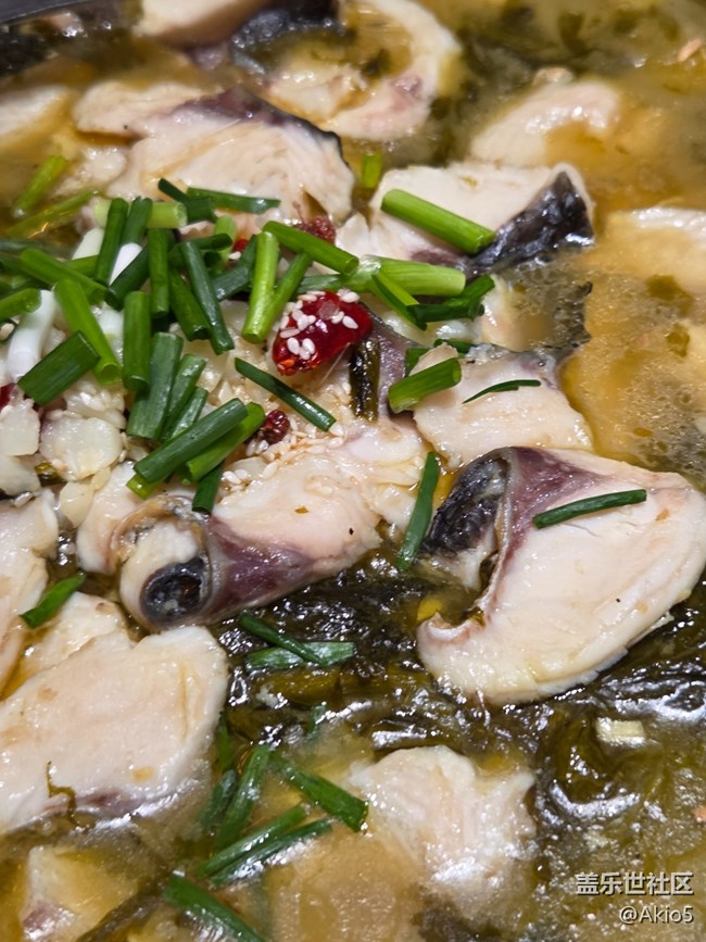 【五月物候觀察手冊】家庭聚會