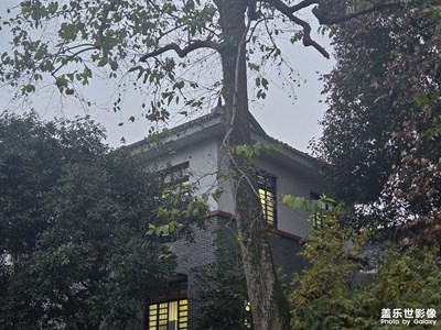 【城市漫步】+?漫步中