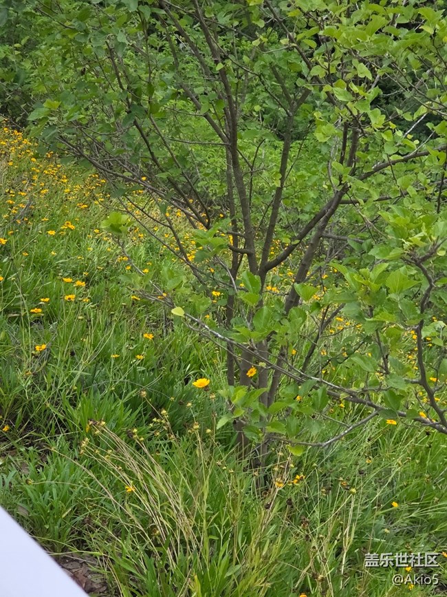 【五月物候觀察手冊】大自然