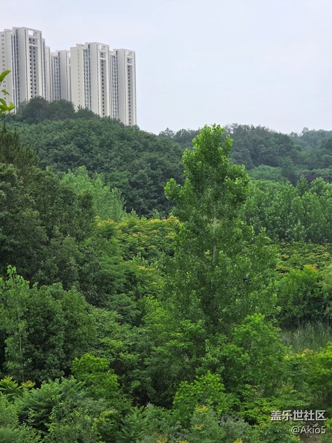 【五月物候觀察手冊】大自然