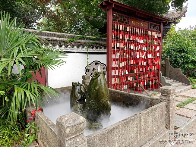 【自然的美妙】桐君山