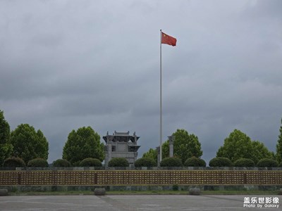【遇見最美夏日】大雨過后隨手拍