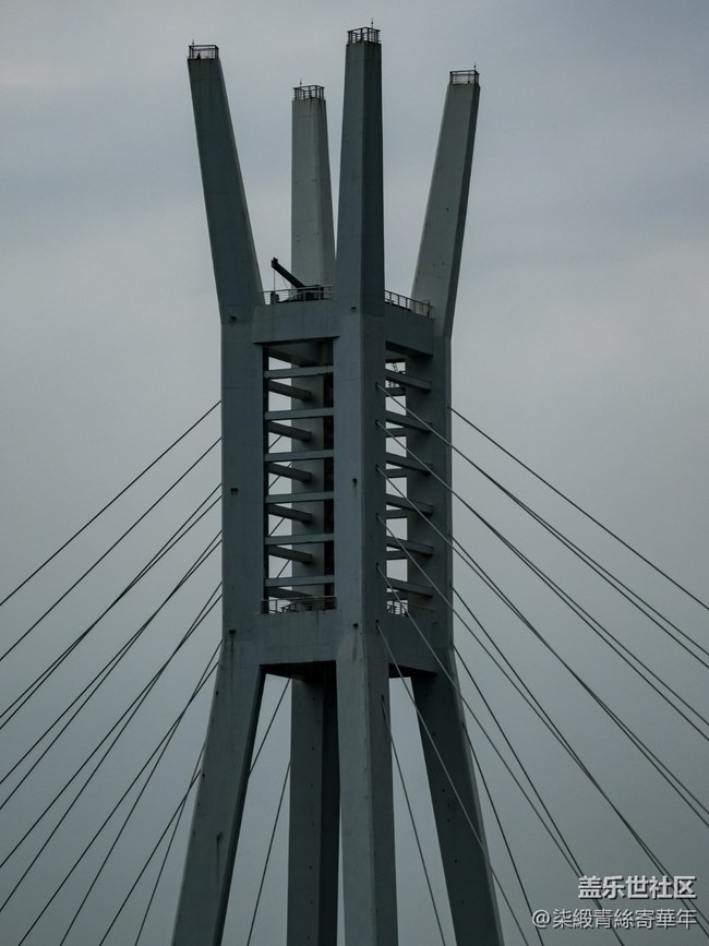 【鏡間漫游】如意龍湖活動(dòng)回顧