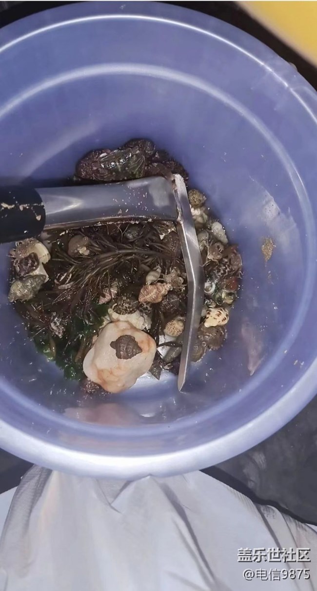 【浪漫盛夏季】海灘