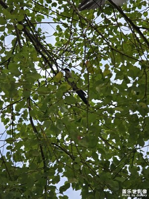 【遇見(jiàn)最美夏日】+城市隨拍