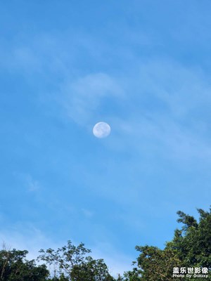 【遇見(jiàn)最美夏日】初夏的月亮