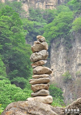 【遇見最美夏日】夏日徒步
