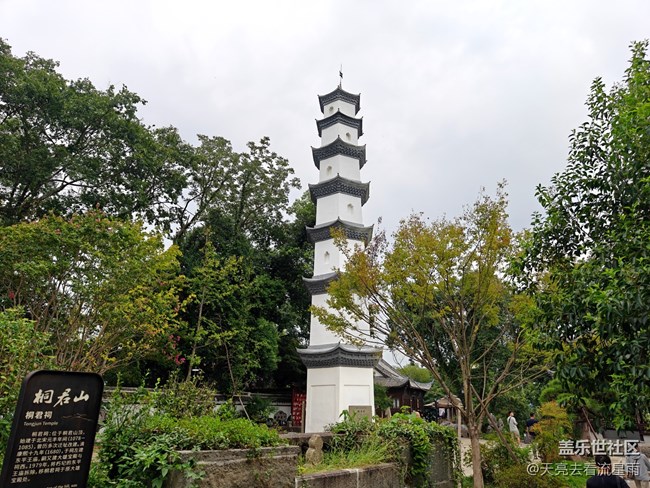 【自然的美妙】桐君山