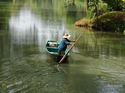 【遇見最美夏日】游西溪濕地
