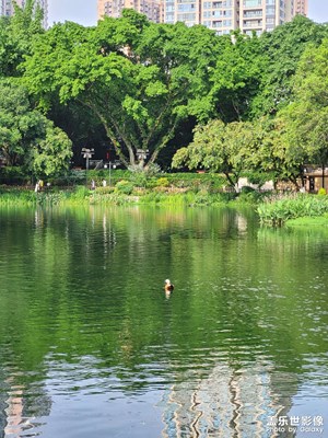【遇見最美夏日】+午后的公園