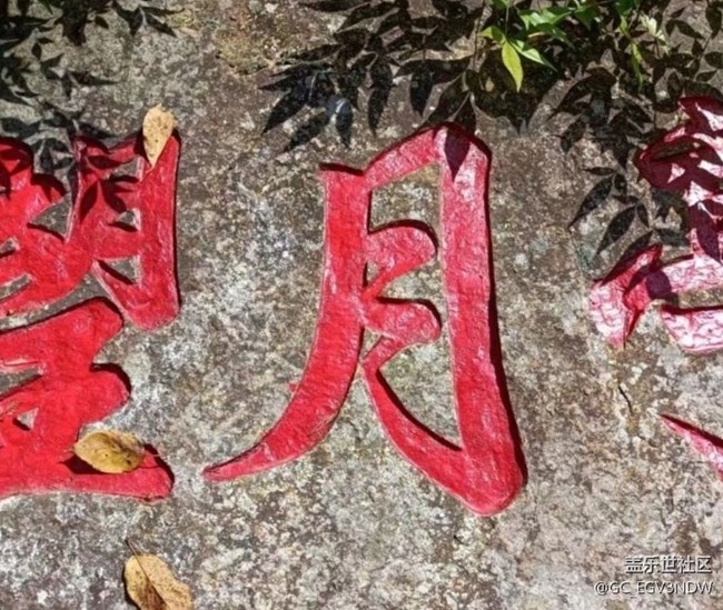 【浪漫盛夏季】四處走走