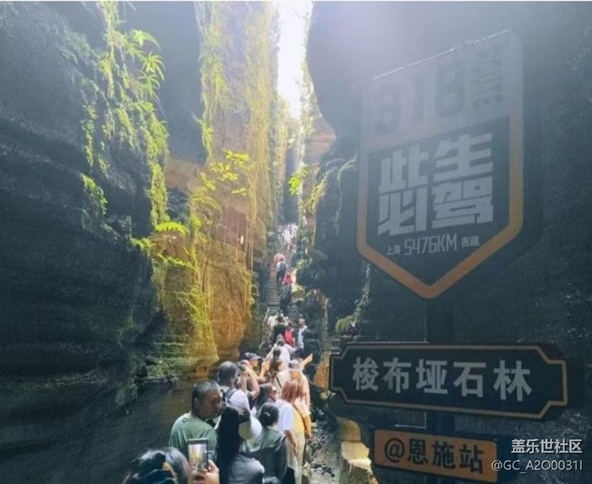 【浪漫盛夏季】夏日旅行