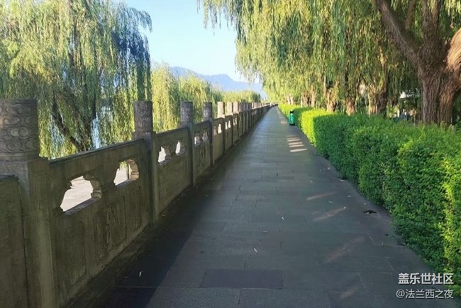 【浪漫盛夏季】夏日晨跑