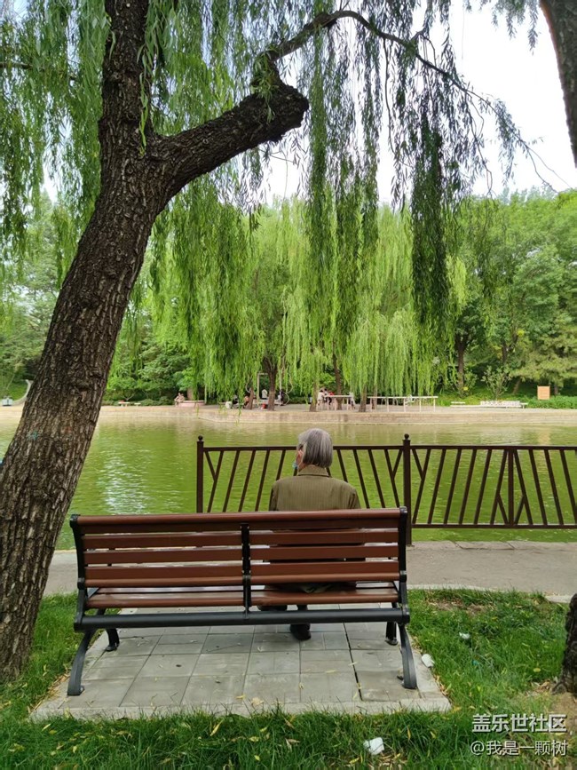 【團(tuán)結(jié)湖公園】+團(tuán)結(jié)湖公園的夏日快樂(lè)碎片