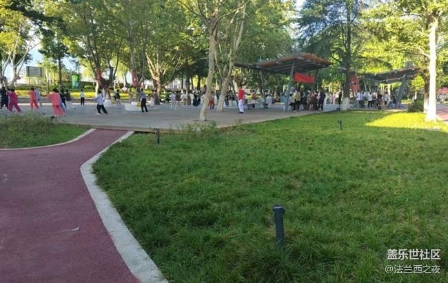 【浪漫盛夏季】夏日晨跑