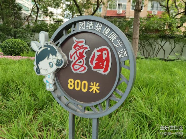 【團(tuán)結(jié)湖公園】+團(tuán)結(jié)湖公園的夏日快樂(lè)碎片