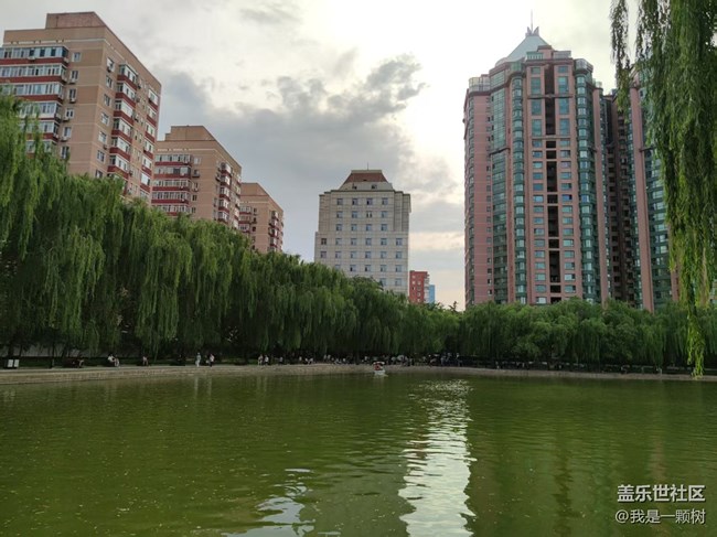 【團(tuán)結(jié)湖公園】+團(tuán)結(jié)湖公園的夏日快樂(lè)碎片