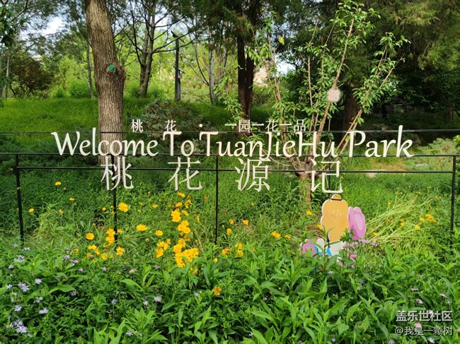 【團(tuán)結(jié)湖公園】+團(tuán)結(jié)湖公園的夏日快樂(lè)碎片