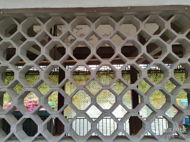 【團(tuán)結(jié)湖公園】+團(tuán)結(jié)湖公園的夏日快樂(lè)碎片