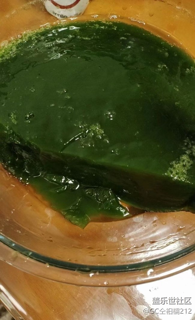 【芒種食養(yǎng)記】綠豆腐