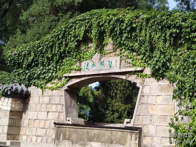 【團(tuán)結(jié)湖公園】+團(tuán)結(jié)湖公園的夏日快樂(lè)碎片