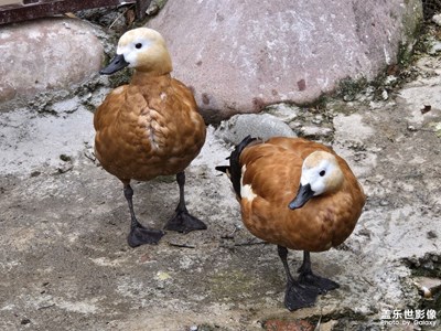【遇見(jiàn)最美夏日】+可愛(ài)的世界