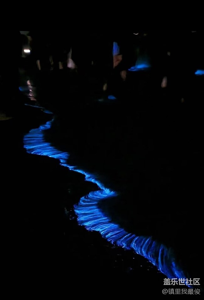 【鵬城夜景】藍(lán)眼淚