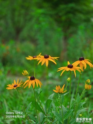 十堰王屋埡廣場