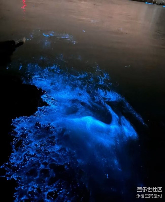 【鵬城夜景】藍(lán)眼淚