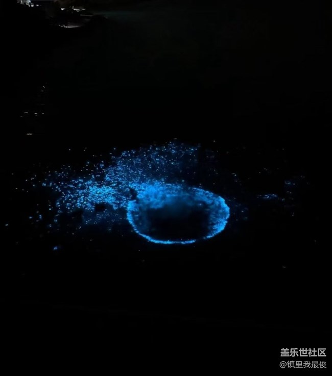 【鵬城夜景】藍(lán)眼淚