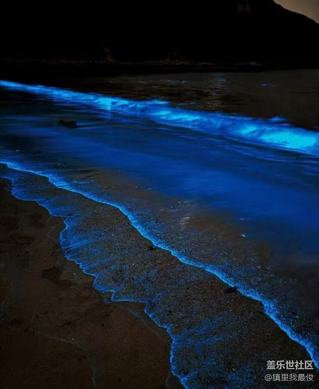 【鵬城夜景】藍(lán)眼淚