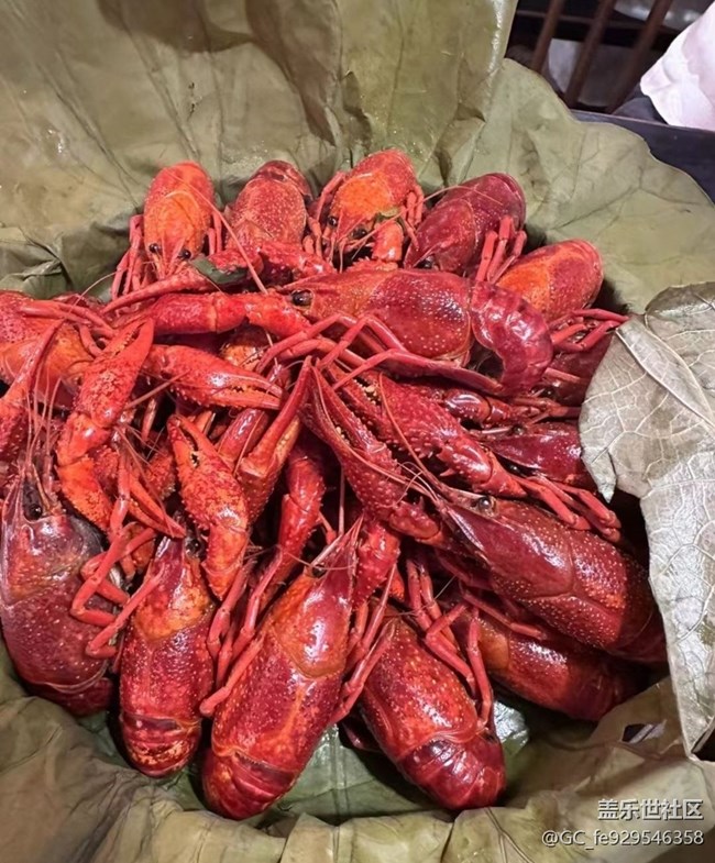 【芒種食養(yǎng)記】怡淮龍蝦