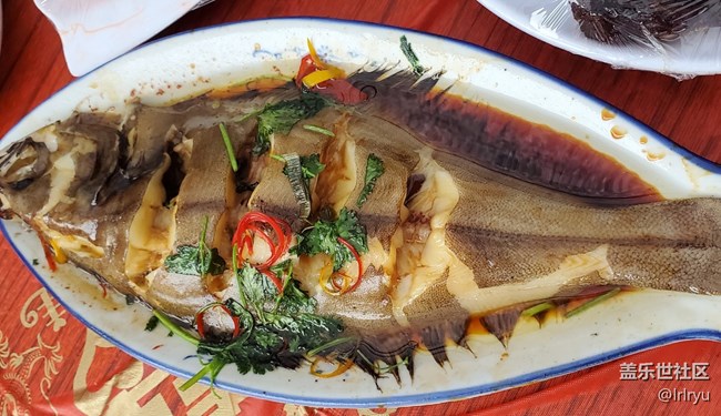 【美食攝影師】+豐盛的一餐