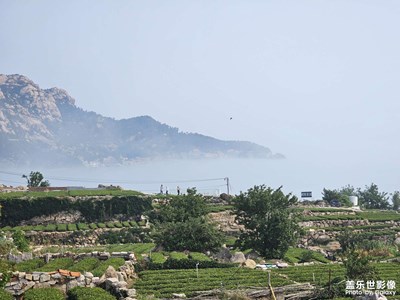 [遇見最美夏日]漁村印象