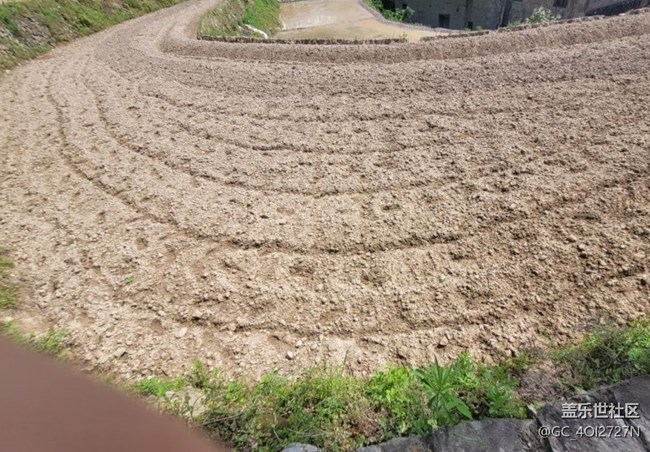 【浪漫盛夏季】農(nóng)忙