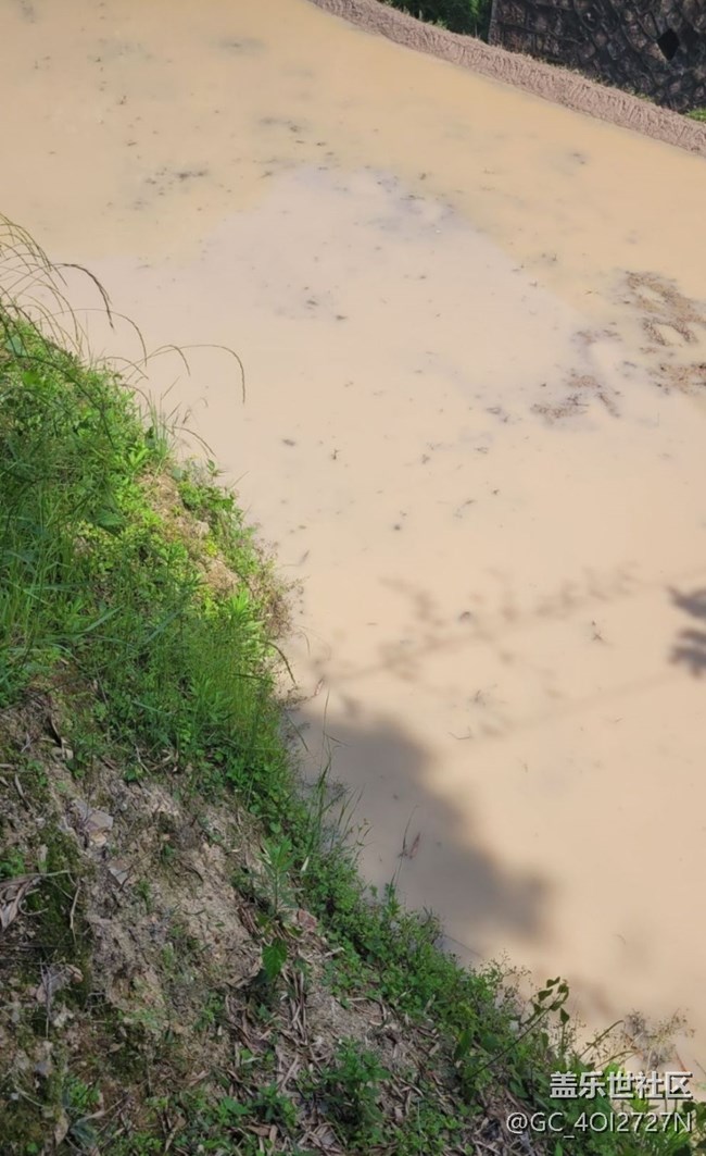 【浪漫盛夏季】農(nóng)忙