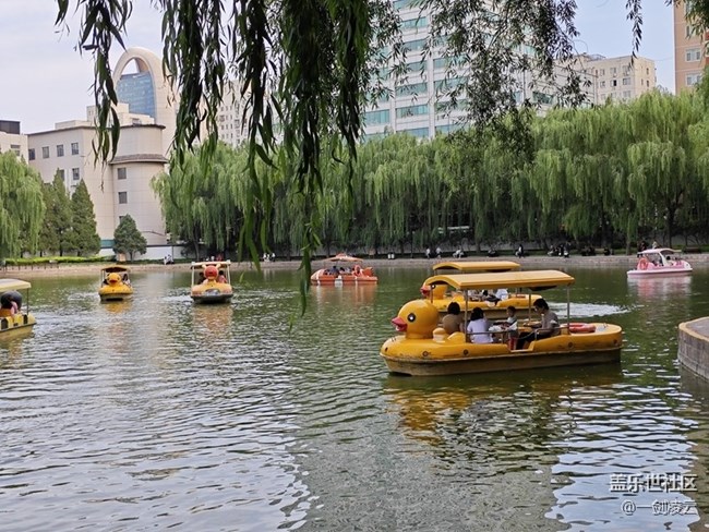 【團(tuán)結(jié)湖公園】CBD中的自然風(fēng)光