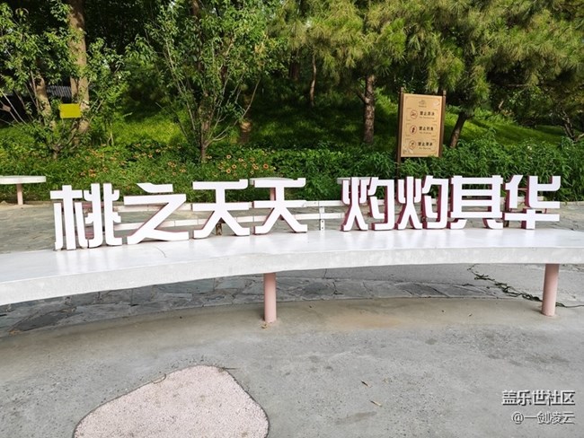 【團(tuán)結(jié)湖公園】CBD中的自然風(fēng)光