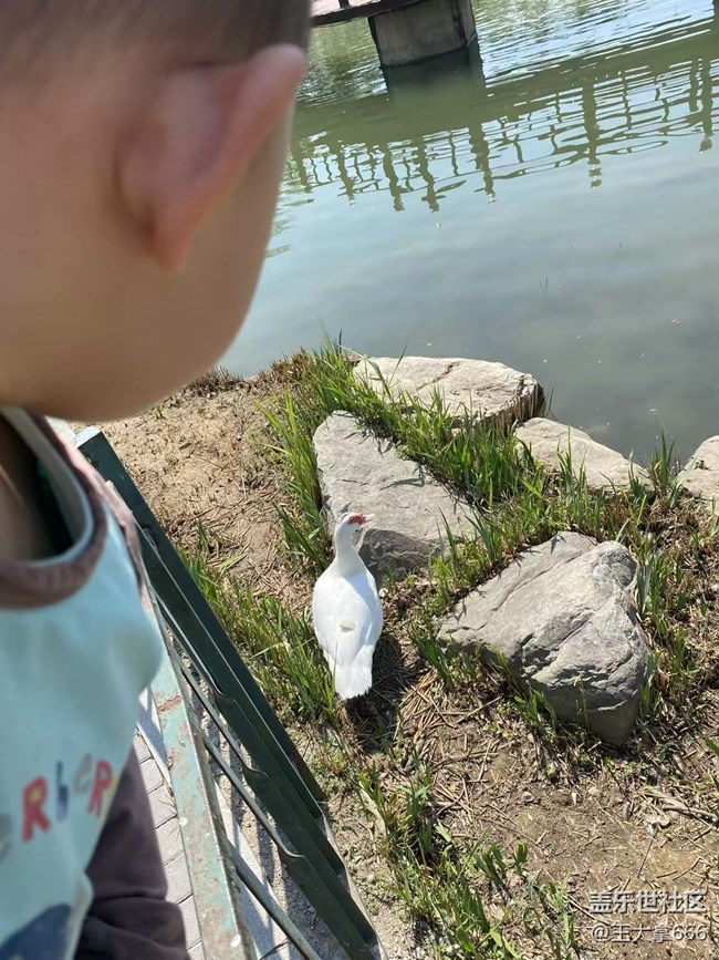 【粽夏童趣】+相互陪伴