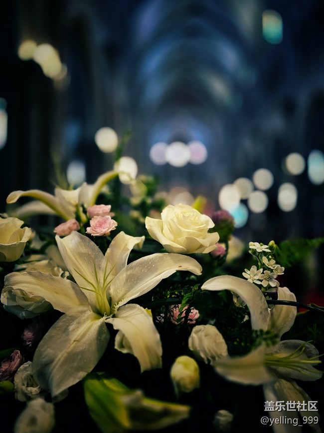 上海星部落6月7日徐家匯citywalk線下攝影活動(dòng)回顧帖