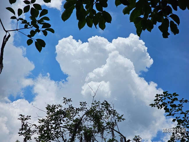 【華北夏韻】夏日炎炎