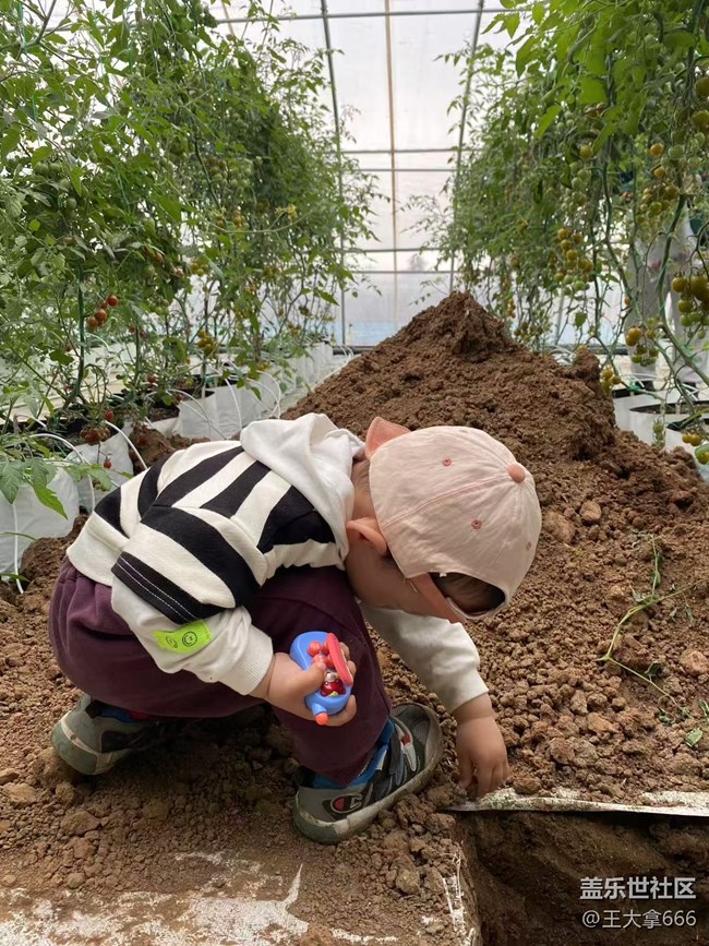 【粽夏童趣】+相互陪伴