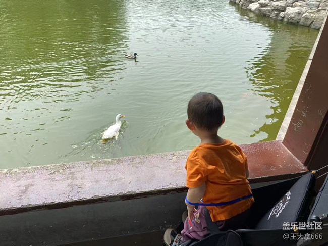 【粽夏童趣】+相互陪伴