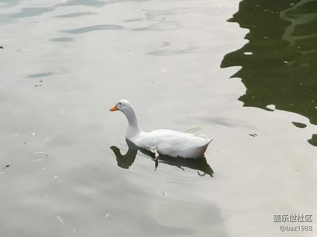 【團結(jié)湖公園】+水上世界