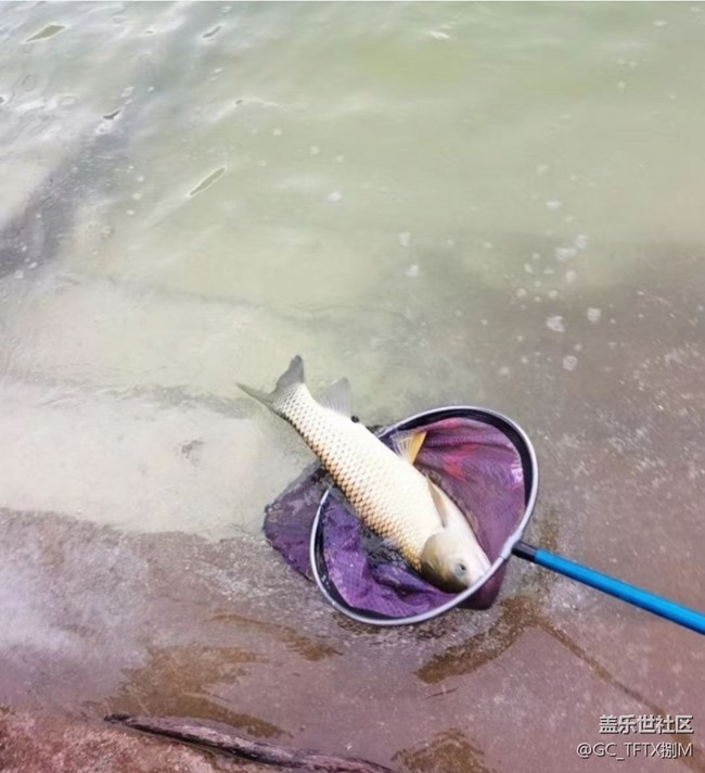 【浪漫盛夏季】釣魚