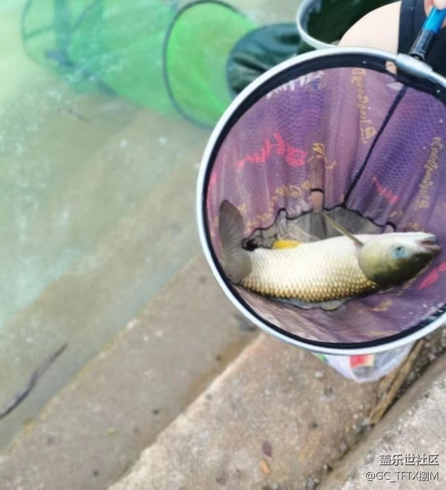 【浪漫盛夏季】釣魚