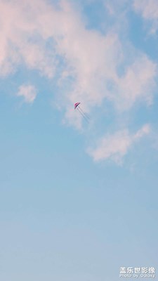 【遇見最美夏日】+自由